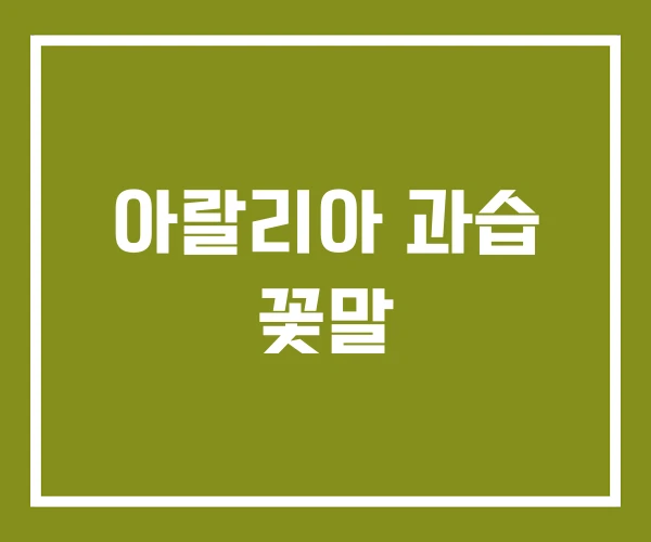 아랄리아 과습 꽃말