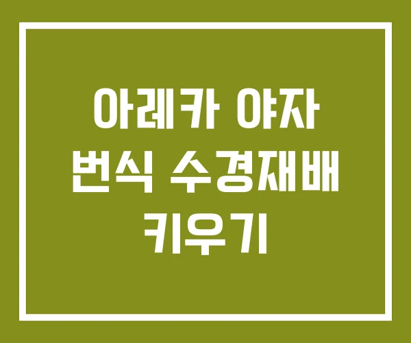 아레카 야자 번식 수경재배 키우기