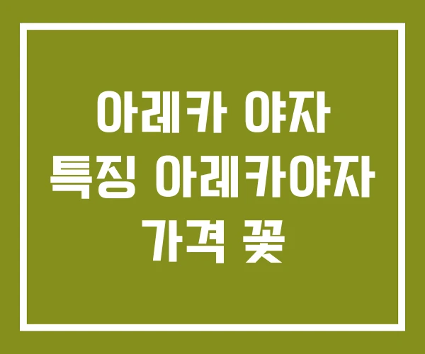 아레카 야자 특징 아레카야자 가격 꽃