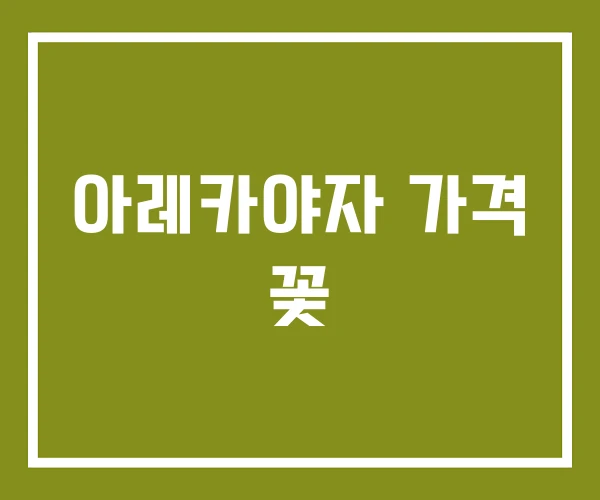 아레카야자 가격 꽃