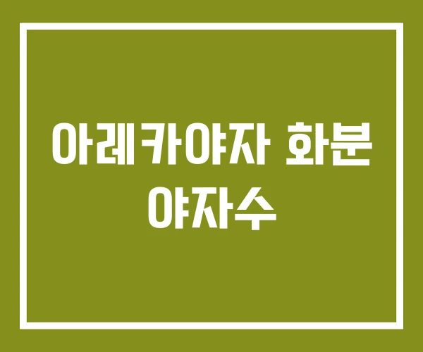 아레카야자 화분 야자수