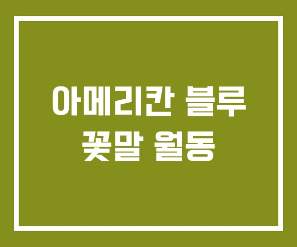 아메리칸 블루 꽃말 월동