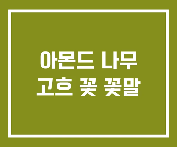 아몬드 나무 고흐 꽃 꽃말