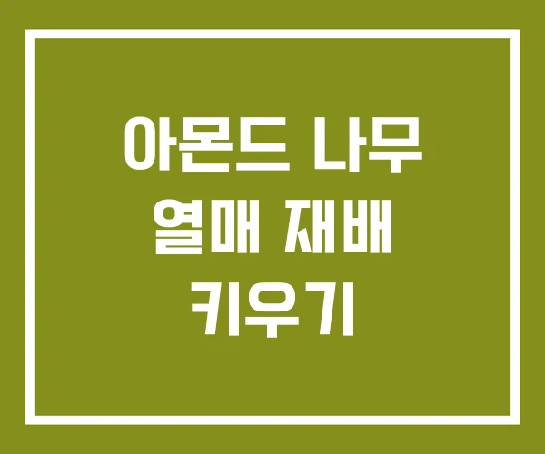 아몬드 나무 열매 재배 키우기