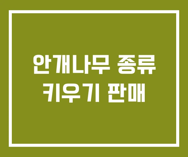 안개나무 종류 키우기 판매