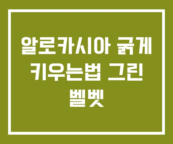 알로카시아 굵게 키우는법 그린 벨벳