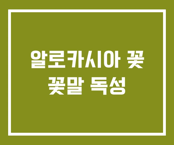 알로카시아 꽃 꽃말 독성