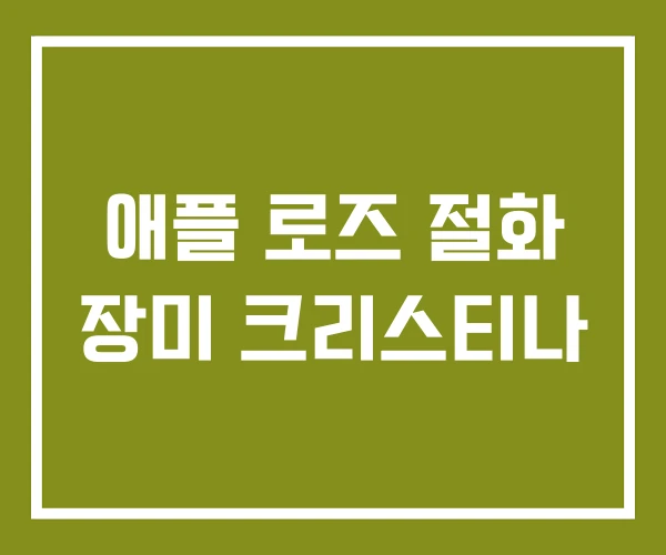 애플 로즈 절화 장미 크리스티나