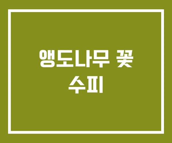 앵도나무 꽃 수피