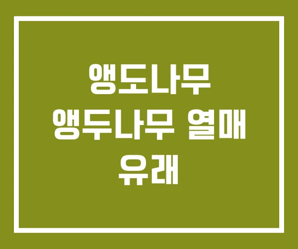 앵도나무 앵두나무 열매 유래