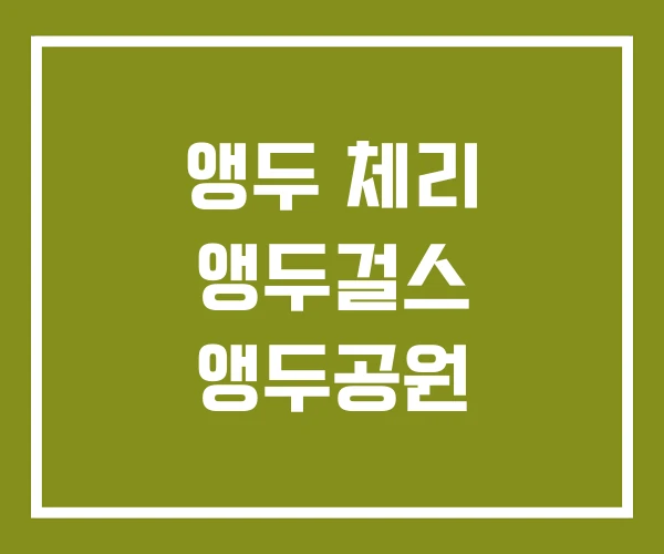 앵두 체리 앵두걸스 앵두공원