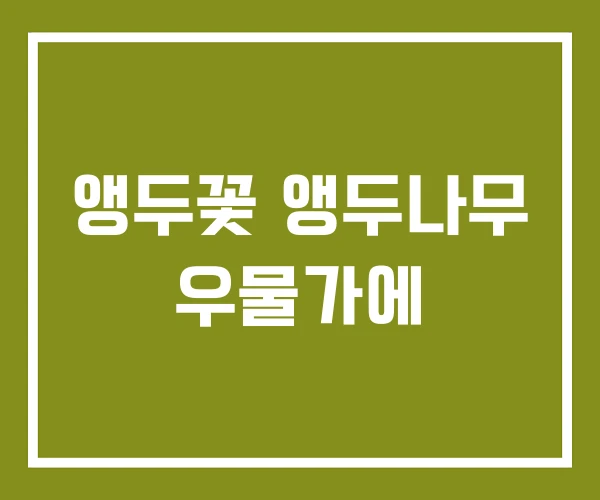 앵두꽃 앵두나무 우물가에