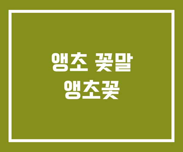 앵초 꽃말 앵초꽃