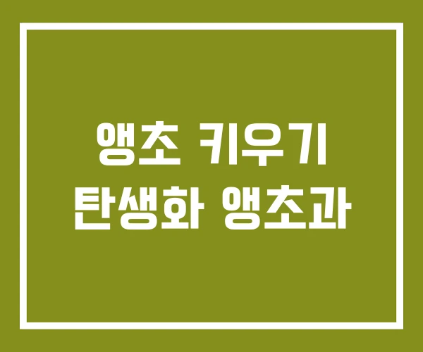 앵초 키우기 탄생화 앵초과