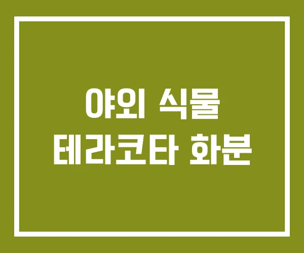 야외 식물 테라코타 화분
