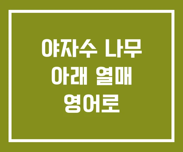 야자수 나무 아래 열매 영어로