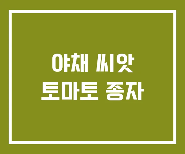 야채 씨앗 토마토 종자