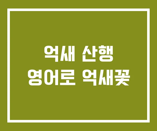 억새 산행 영어로 억새꽃