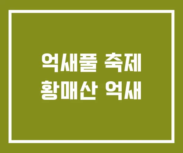 억새풀 축제 황매산 억새