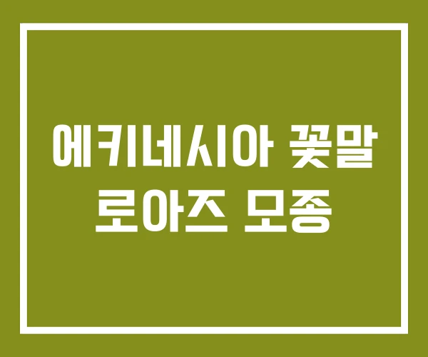 에키네시아 꽃말 로아즈 모종