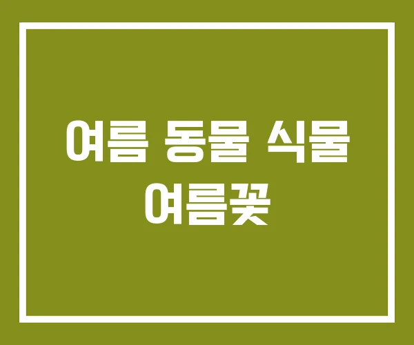 여름 동물 식물 여름꽃
