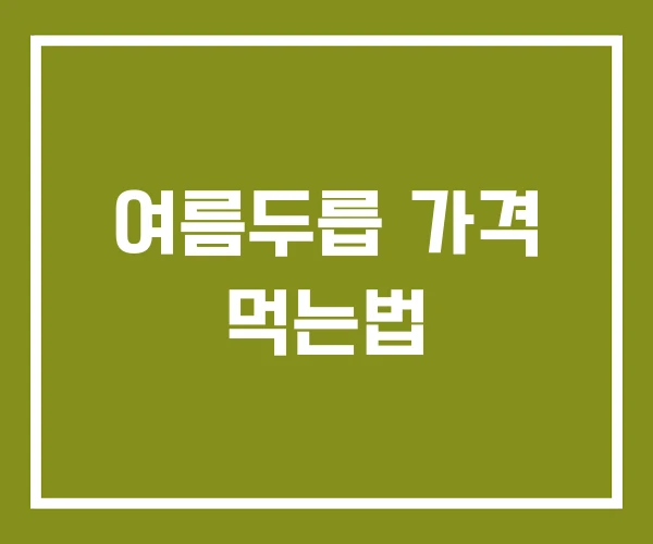 여름두릅 가격 먹는법