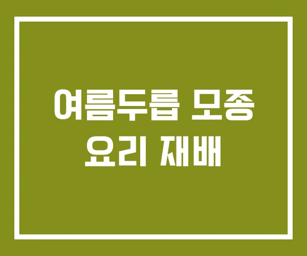 여름두릅 모종 요리 재배