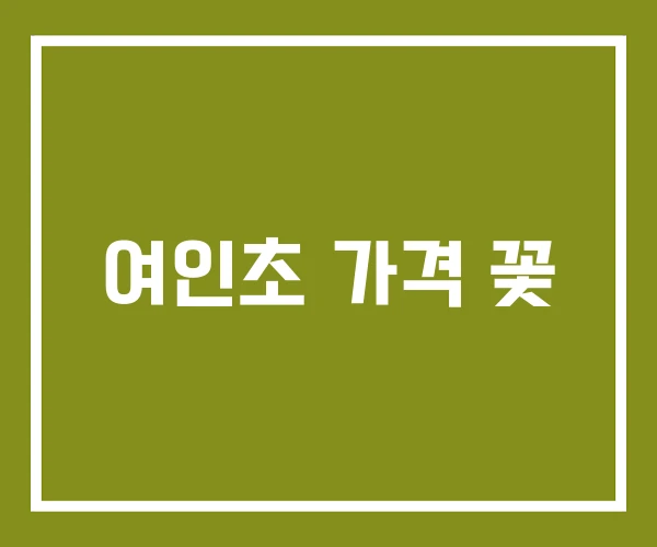 여인초 가격 꽃