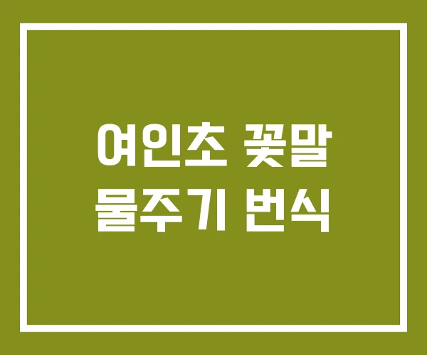 여인초 꽃말 물주기 번식