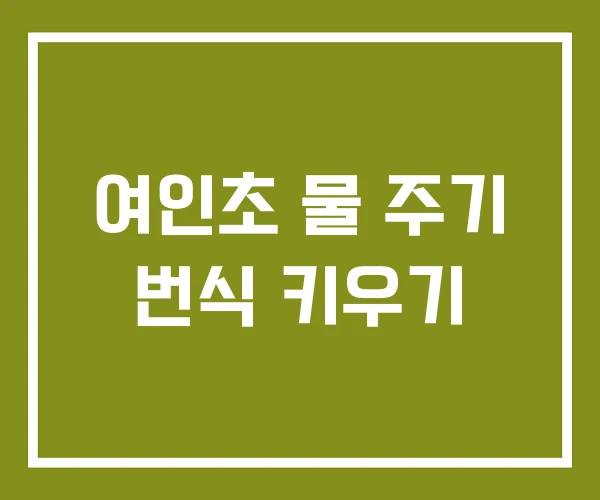 여인초 물 주기 번식 키우기