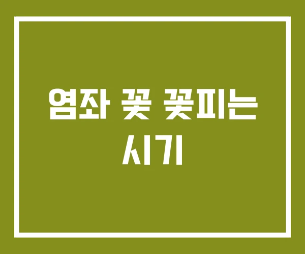 염좌 꽃 꽃피는 시기