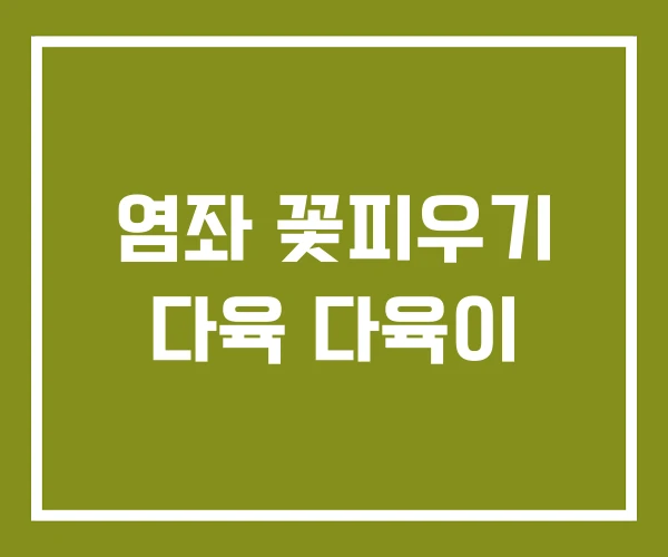 염좌 꽃피우기 다육 다육이