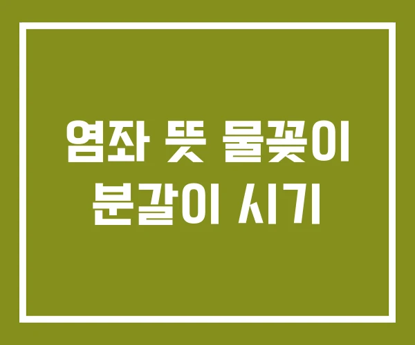 염좌 뜻 물꽂이 분갈이 시기