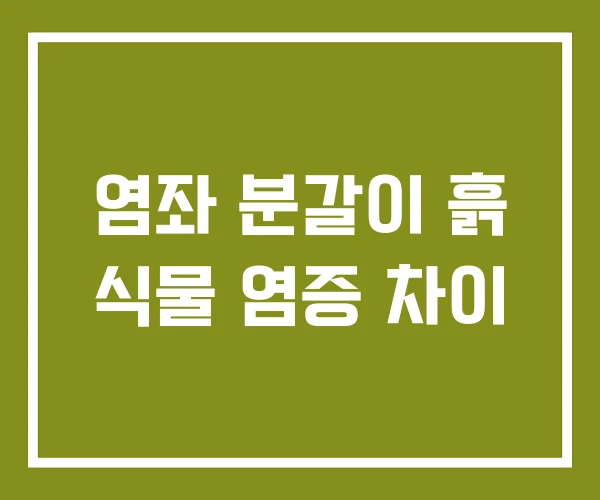 염좌 분갈이 흙 식물 염증 차이
