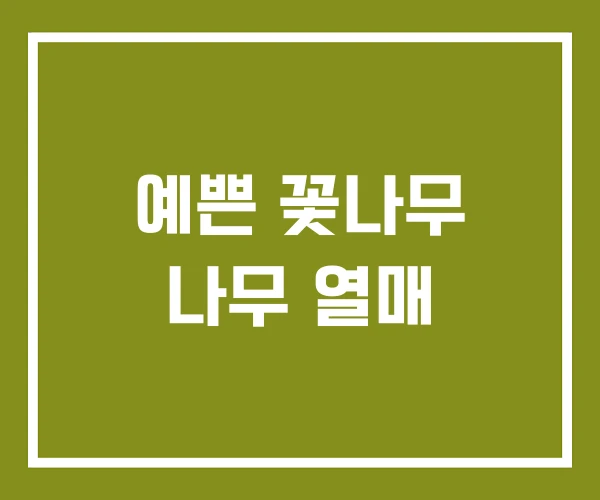 예쁜 꽃나무 나무 열매