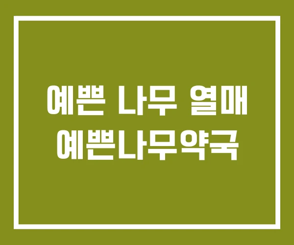 예쁜 나무 열매 예쁜나무약국