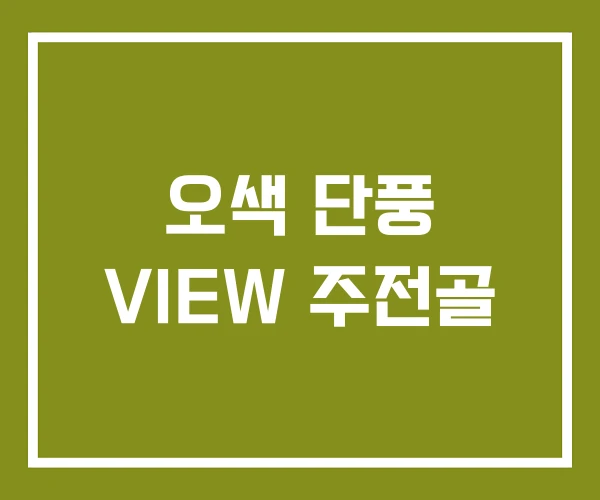 오색 단풍 VIEW 주전골