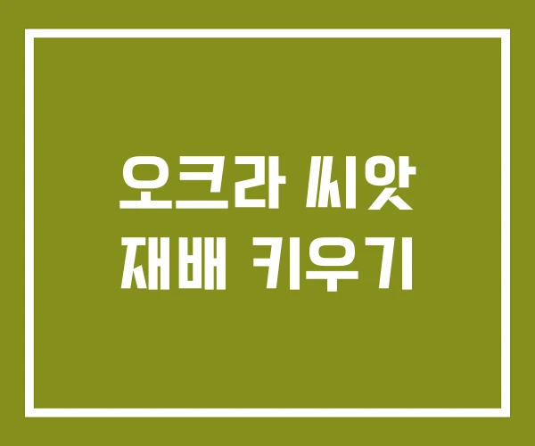 오크라 씨앗 재배 키우기