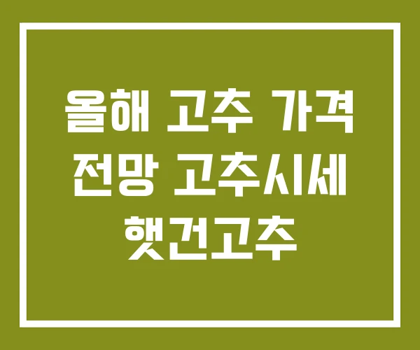올해 고추 가격 전망 고추시세 햇건고추
