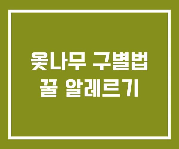 옻나무 구별법 꿀 알레르기