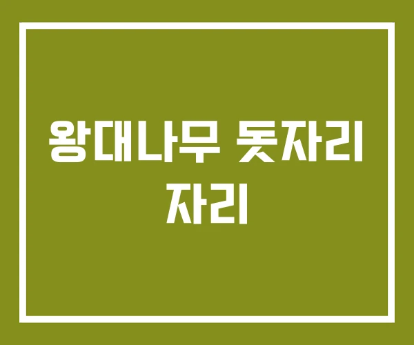 왕대나무 돗자리 자리