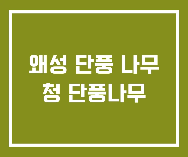 왜성 단풍 나무 청 단풍나무