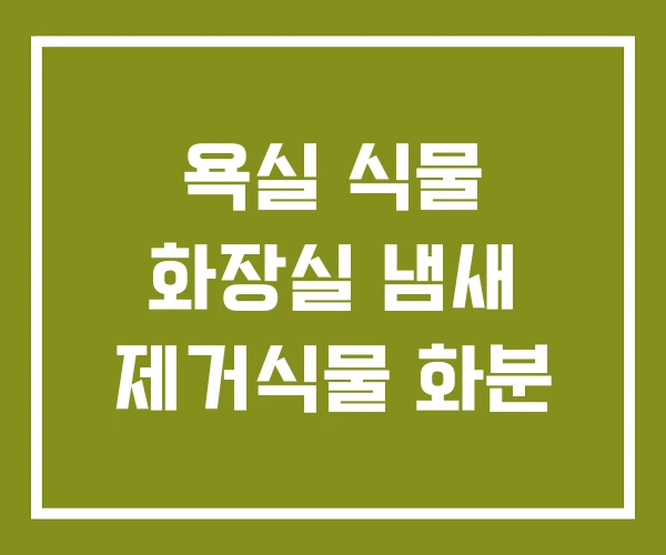 욕실 식물 화장실 냄새 제거식물 화분