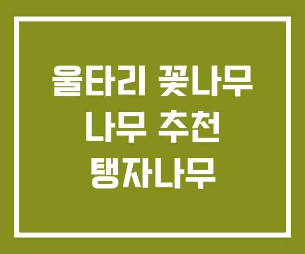 울타리 꽃나무 나무 추천 탱자나무