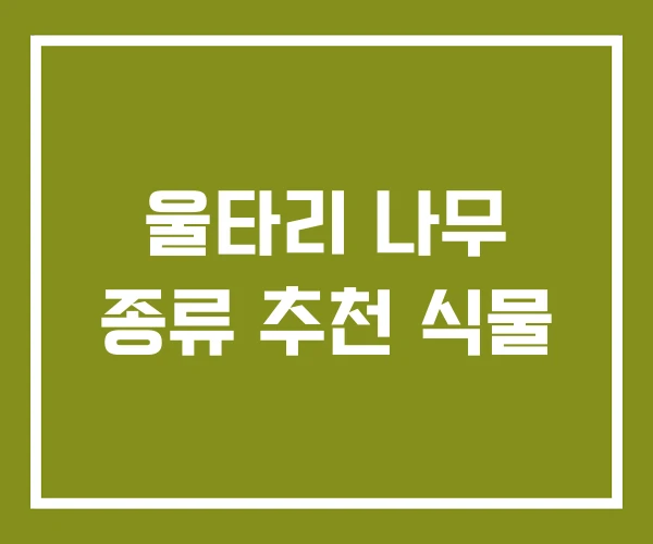 울타리 나무 종류 추천 식물