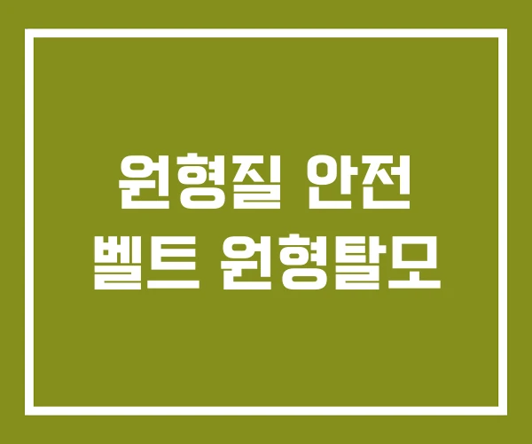 원형질 안전 벨트 원형탈모