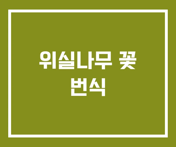 위실나무 꽃 번식