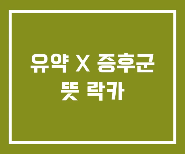 유약 X 증후군 뜻 락카