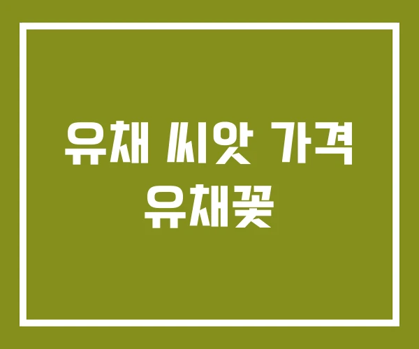 유채 씨앗 가격 유채꽃