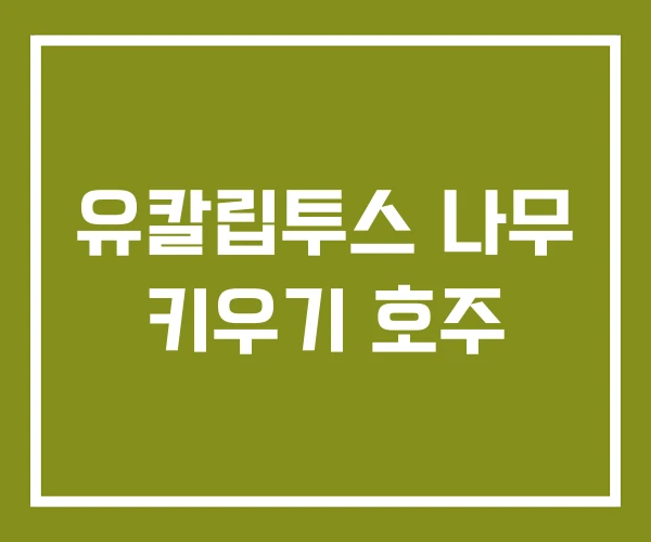 유칼립투스 나무 키우기 호주